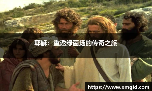 MK体育官方网站